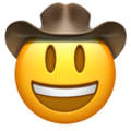 cowboy-hat-face_1f920.png