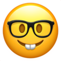 nerd-face_1f913.png